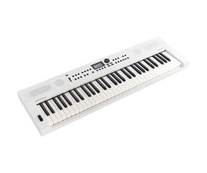 Roland GO:KEYS 5 WH Keyboard (White)