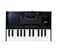 Roland Portable Keyboard Module for Roland Boutique series (K-25M)