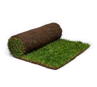 Rolawn Medallion Turf - Per 610mm x 1.64mtr Cut