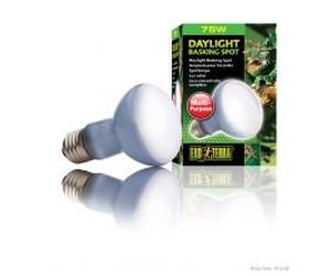 ROLF HAGEN PET-166113 Exo Terra Daylight Basking Spot - 75w (75w)