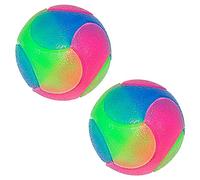 Rolin Roly Flashing Light Up Dog Ball - Color Changing, Bouncing, Interactive Ball Toys (2PK Large)