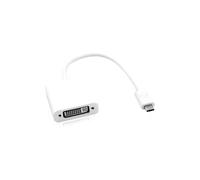 ROLINE Display Adapter USB Type C - DVI