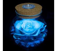 roliys Preserved Real Roses with Colorful Mood Light Wishing Bottle,Eternal Rose，Never Withered Flowers, Christmas Anniversary Valentine's Mother's Day,a Gifts for Women 4.3inch 1pcs（Light Blue）