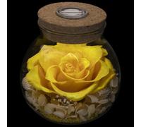 roliys Preserved Real Roses with Colorful Mood Light Wishing Bottle,Eternal Rose，Never Withered Flowers, a Gifts for Women 4.3inch 1pcs (Yellow)