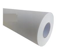 Roll of Canvas for Paintings Blank Canvas Roll Inkjet Matte Polyester Rolls Printing Pigment(2 Rolls)