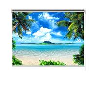 ROLLER BLINDS Blackout Ocean Beach Picture, Window Roller Shades for Bedroom/Bathroom/Nursery/Kitchen, 60cm/ 80cm/ 100cm/ 120cm/140cm Wide (Size : 80x120cm)