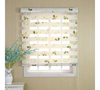 ROLLER BLINDS Dual Layer Zebra Day and Night Window Shades for Kitchen/Living Room/Bedroom, 60cm/ 80cm/ 100cm/ 120cm/140cm Wide (Size : 100x120cm)