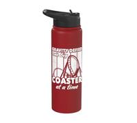 Roller Coaster Enthusiast Roller Coasters Stainless Steel Insulated Water Bottle
