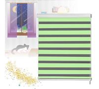 Roller Shade Blackout Shades Roller Blinds Thermal Blackout Roller Blind, Window Blinds Easy fit Home Office Window Blinds for Kitchen/Bathroom/Toilet any Room 150x150cm/59x59in(WxH) green