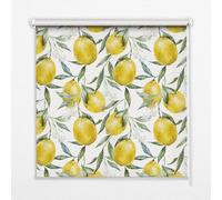 Roller Window Shade 100x140 cm | Lemons | Light Filtering Semi Blackout | Decorative Printed Blind | Bedroom Kitchen Home Office | Chain Pull Control | Easy Wall Ceiling Mount
