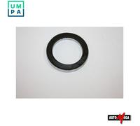 Fits DELLO AUTOMEGA 110132510 SHOCK BEARING ⭐UK Stock⭐