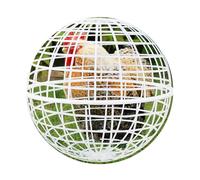 Rolling Chicken Ball Cage Detachable Chicken Ball Plastic Mesh Enclosure Chickens Orb Cage to Free Range for Hamsters Parrots