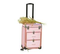 Rolling Cosmetic Case Women Pink Trolley Cosmetic Rolling Luggage Men Black Nails Makeup Toolbox Beauty Suitcase(Pink)