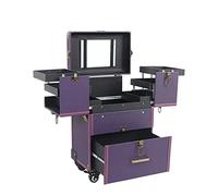 Rolling Makeup Case Professional Makeup Train Case Makeup Artist Travel Organizer, Large Capacity Trunk Case For Makeup Artists Hairstylists Nail Tech Kits School, Cosmetic Case With Mirror，Black cosm