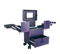 Rolling Makeup Case Travel Train Case with Wheels Cosmetic Trolley, Professional Make Up with Drawers，Large Trolley Storage Case, Aluminium Make Up Case, for Hair Curler Brush Set and Cosmetics (Colo