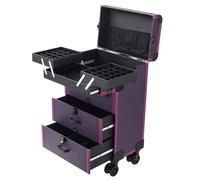 Rolling Makeup Train Case, Make Up Trolley on Wheels Make Up Box, Nail Polish Storage and 2 Drawers