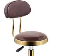 Rolling Stool Rolling Stool with Back Support Swivel Wheels Height Adjustable Barstool for Tattoo Pedicure Facial Medical Lab