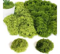 ROLLWAY 100 g artificial moss for decorating, artificial moss for crafts, artificial moss decoration, art moss, fake decorative moss, craft moss for wall, crib, aquarium, crib, model making, dark