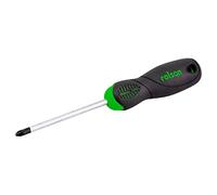 Rolson 29164 PZ2 x 100 mm Screwdriver