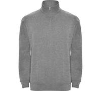 ROLY Men's Aneto Quarter Zip Sweatshirt in Grey | Size: 2XL ROLY Grey 2XL