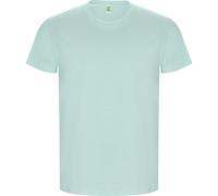 ROLY Men's Golden Plain Short-Sleeved T-Shirt in Mint | Size: XL ROLY Mint XL