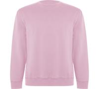 Roly Unisex Adult Batian Crew Neck Sweatshirt PF4345