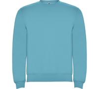 Roly Unisex Adult Clasica Crew Neck Sweatshirt / N/A N/A PF4342