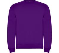 Roly Unisex Adult Clasica Crew Neck Sweatshirt / N/A N/A PF4342