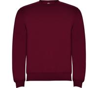 Roly Unisex Adult Clasica Crew Neck Sweatshirt / N/A N/A PF4342