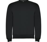 Roly Unisex Adult Clasica Crew Neck Sweatshirt PF4342