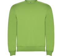 Roly Unisex Adult Clasica Crew Neck Sweatshirt PF4342