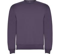 Roly Unisex Adult Clasica Crew Neck Sweatshirt PF4342