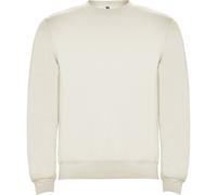 Roly Unisex Adult Clasica Crew Neck Sweatshirt PF4342