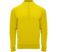 Roly Unisex Adult Epiro Quarter Zip Long-Sleeved Sweatshirt PF4425