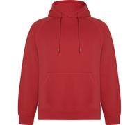Roly Unisex Adult Vinson Hoodie PF4316