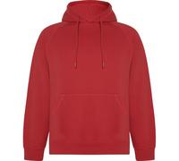 Roly Unisex Adult Vinson Hoodie PF4316
