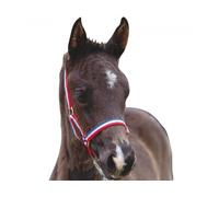 Roma Foal Halter, Black, Foal