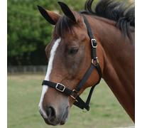 Roma Headcollar and Lead Rope Set - Black - Cob