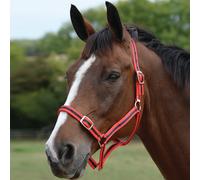 Roma Headcollar & Lead Set - Dark Red - Size: Pony
