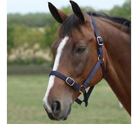 Roma Headcollar & Lead Set - Navy - Size: Pony