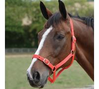 Roma Headcollar and Lead Rope Set - Red - Cob