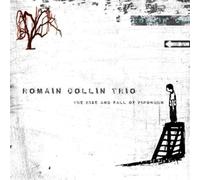 Romain Collin - The Rise and Fall of Pipokuhn