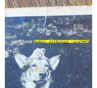 Roman Britschgi - Notions