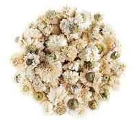 Roman Camomille Flowers Tea - Anthemis Nobilis - 350g | Whole dried roman chamomile flowers with a sweet apple like aroma brewed as a gentle floral tea any time of day