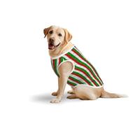 Roman Coliseum Italian Flagprint Large Pets Vest Breathable Sleeveless Tank Top Apparel Cozy Lightweight T-Shirt