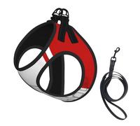 Roman Colosseum Italian Flag Print Small Dog Harness And Leash Set, Adjustable Soft Vest With 360° Reflective Straps For Cats Puppy