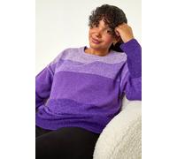 Roman Women's Curve Ombre Stripe Knit Jumper in Purple | Size: 20 Roman Purple 20