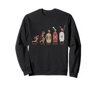 Roman Legions Polybian Evolution Funny Ancient Rome Sweatshirt
