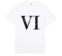 Roman Numeral 6 VI Text ~ Six Comfort Colors Adult Heavyweight T-Shirt