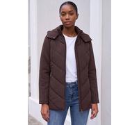 Roman Petite Hooded Chevron Padded Coat In Chocolate Chocolate